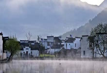419工作室上海，企业成长路上的坚强后盾